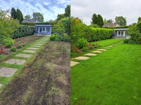 Complete Lawn Renovation