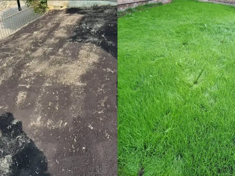 Lawn Care In Cirencester