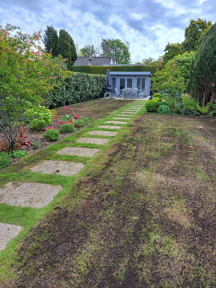 Weedy Lawn Renovation