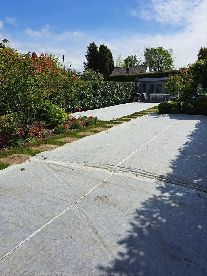 Moss and Weed Lawn Renovation