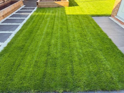 Cheltenham Lawn Makeover