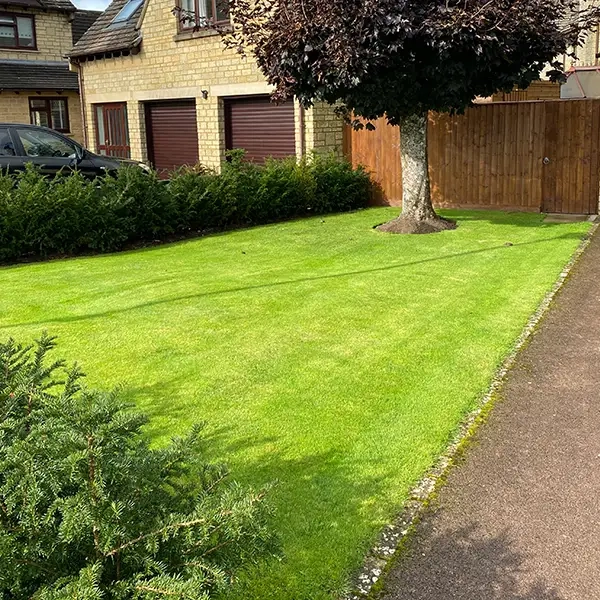 Lawn Care Cheltenham
